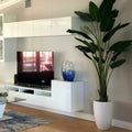 2.7 m Bird of Paradise Plant with Ben Planter in Glossy White