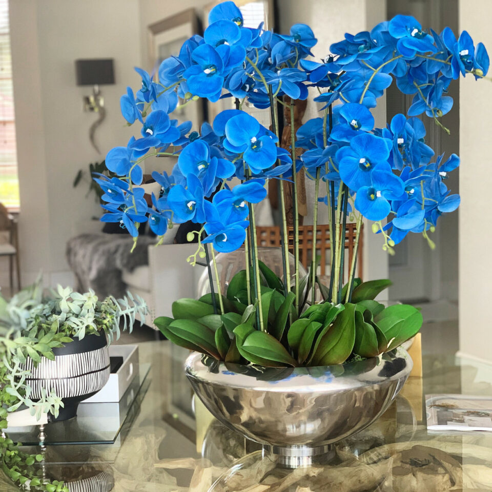 Bowl Avenue with Blue Phalaenopsis Orchids