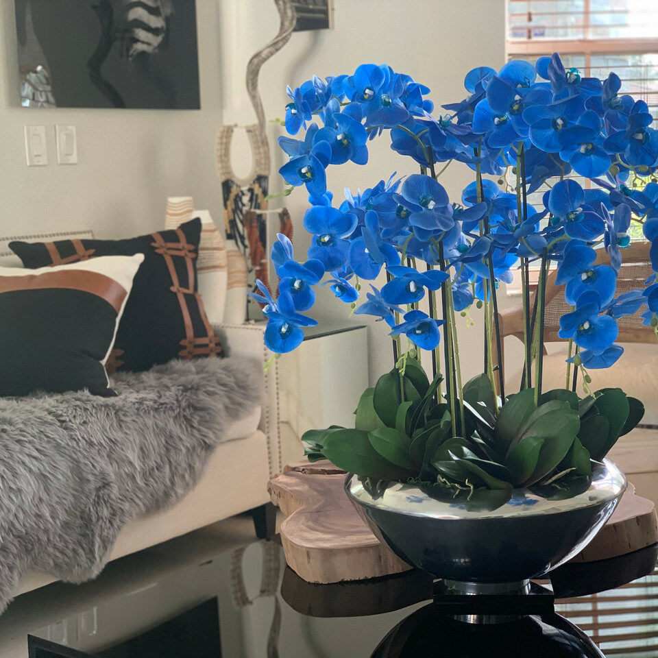 Bowl Avenue with Blue Phalaenopsis Orchids