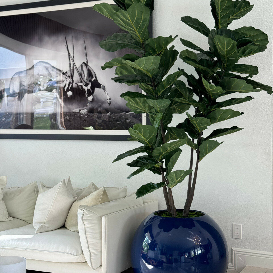 30″ Blue Globe Vase with Fiddle Leaf Fig