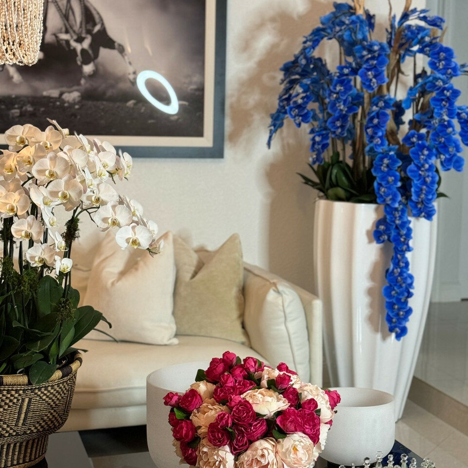 Alocasia Red Prince in extra large pot with glossy white finish