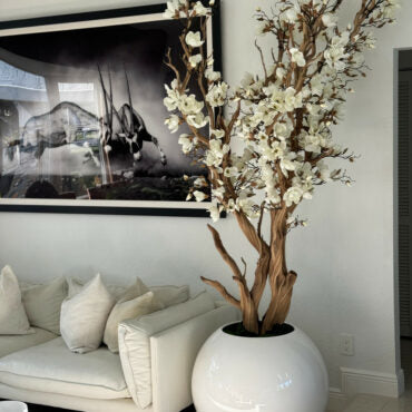 White Magnolia Tree in Glossy White Globe Pot, 76 cm