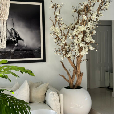 White Magnolia Tree in Glossy White Globe Pot, 76 cm