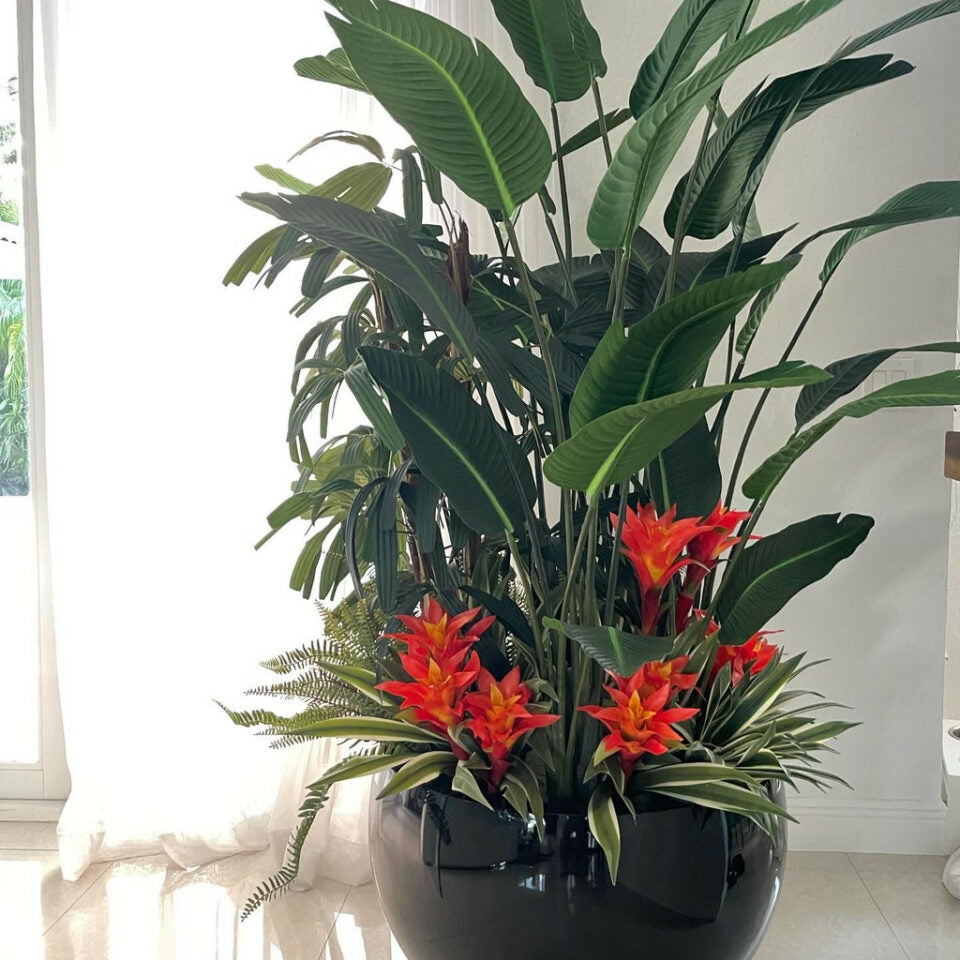 Black Terragona Tropical Plant Mix